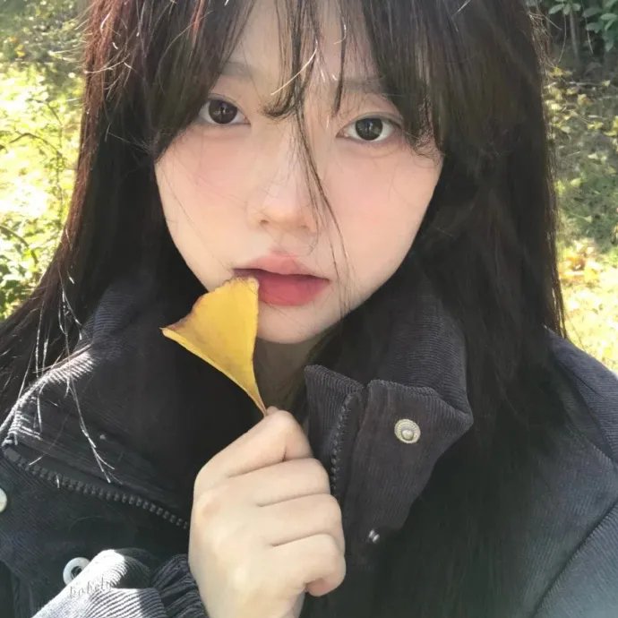 小风暴之时间的玫瑰